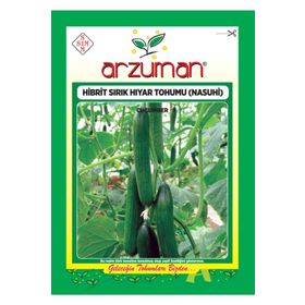 Arzuman 10 Adet Hibrit Sırık Salatalık Tohumu Nasuhi