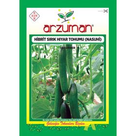Arzuman 10 Adet Hibrit Sırık Salatalık Tohumu Nasuhi