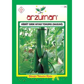 Arzuman 10 Adet Hibrit Sırık Salatalık Tohumu Nasuhi