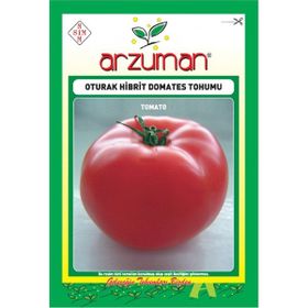 Arzuman 10 Adet Oturak Hibrit Domates Tohumu