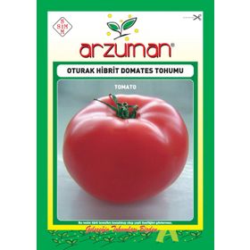 Arzuman 10 Adet Oturak Hibrit Domates Tohumu