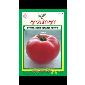 Arzuman 10 Adet Oturak Hibrit Domates Tohumu
