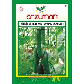 Arzuman 10 Adet Salatalık Nasuhi Hibrit Sırık Hıyar Tohumu