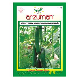 Arzuman 10 Adet Salatalık Nasuhi Hibrit Sırık Hıyar Tohumu