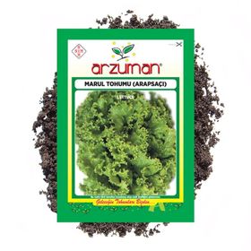 Arzuman 10 gr Arapsaçı Marul Tohumu
