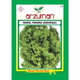Arzuman 10 gr Arapsaçı Marul Tohumu