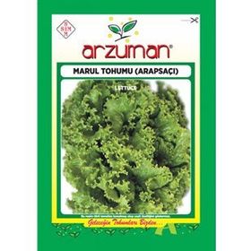 Arzuman 10 gr Arapsaçı Marul Tohumu