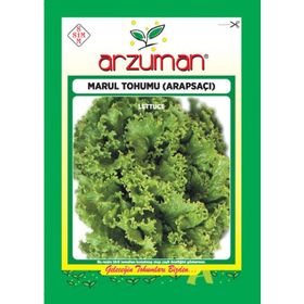 Arzuman 10 gr Arapsaçı Marul Tohumu