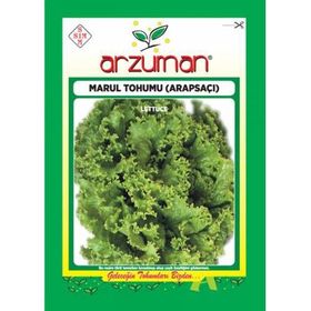 Arzuman 10 gr Arapsaçı Marul Tohumu