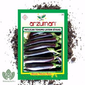 Arzuman 10 gr Aydın Siyahı Patlıcan Tohumu