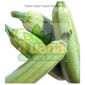 Arzuman 10 gr Beyaz Sakız Kabak Tohumu