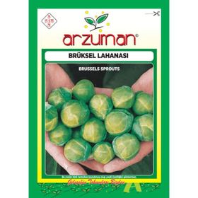 Arzuman 10 gr Brüksel Lahana Tohumu