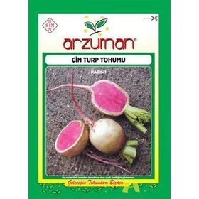Arzuman 10 gr Çin Turp Tohumu
