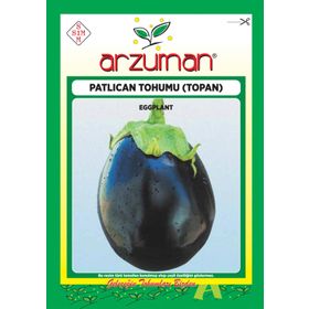 Arzuman 10 Gr Çizgili Patlıcan TohumuAlaca Patlıcan