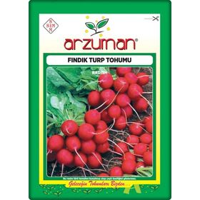 Arzuman 10 gr Fındık Turp Tohumu