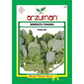 Arzuman 10 gr Geniş Yapraklı Semizotu Tohumu
