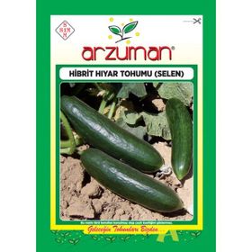 Arzuman 10 gr Hıyar Salatalık Tohumu
