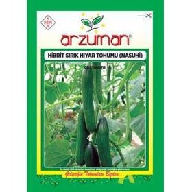 Arzuman 10 gr Hıyar Salatalık Tohumu