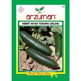 Arzuman 10 gr Hıyar Salatalık Tohumu