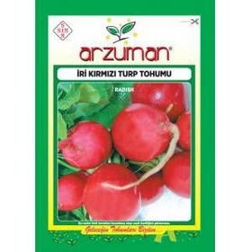 Arzuman 10 gr İri Kırmızı Turp Tohumu