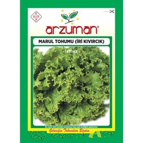 Arzuman 10 gr Iri Kıvırcık Kışlık Marul Tohumu