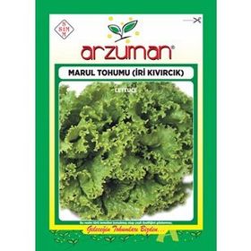 Arzuman 10 gr Iri Kıvırcık Kışlık Marul Tohumu
