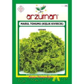 Arzuman 10 gr Iri Kıvırcık Kışlık Marul Tohumu