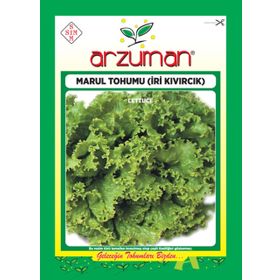 Arzuman 10 gr Iri Kıvırcık Kışlık Marul Tohumu