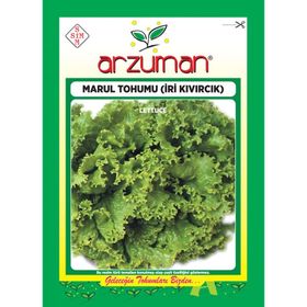 Arzuman 10 Gr İri Kıvırcık Marul Tohumu