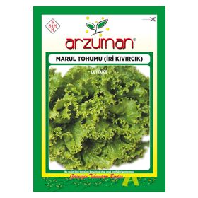 Arzuman 10 Gr İri Kıvırcık Marul Tohumu