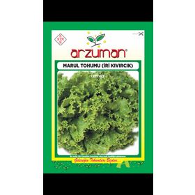 Arzuman 10 Gr İri Kıvırcık Marul Tohumu