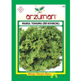 Arzuman 10 Gr İri Kıvırcık Marul Tohumu