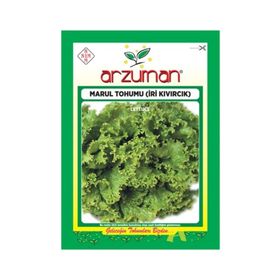 Arzuman 10 Gr İri Kıvırcık Marul Tohumu