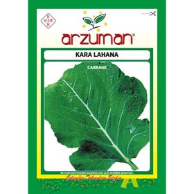 Arzuman 10 gr Karalahana Tohumu