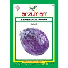 Arzuman 10 gr Kırmızı Mor Lahana Tohumu