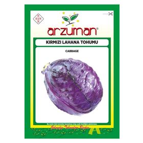 Arzuman 10 gr Kırmızı Mor Lahana Tohumu