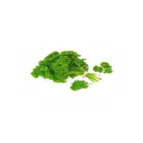 Arzuman 10 gr Kıvırcık Frenk Maydanoz