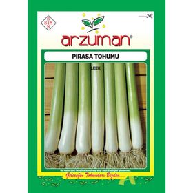 Arzuman 10 gr Pırasa Tohumu