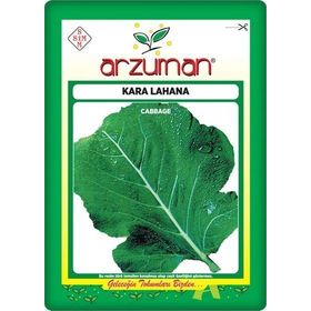 Arzuman 10 gr Sarmalık Laz Kara Lahana Tohumu