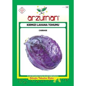Arzuman 10 gr Sebze Kara Lahana Tohumu