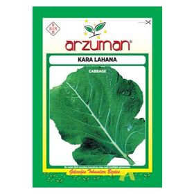 Arzuman 10 gr Sebze Kara Lahana Tohumu