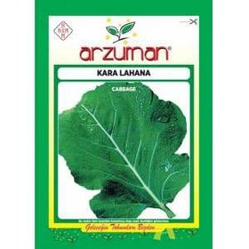 Arzuman 10 gr Sebze Kara Lahana Tohumu