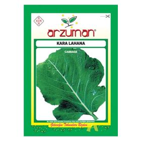 Arzuman 10 gr Sebze Kara Lahana Tohumu