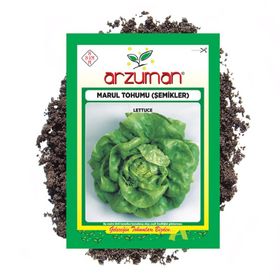 Arzuman 10 gr Şemikler Marul Tohumu
