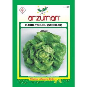 Arzuman 10 gr Şemikler Marul Tohumu