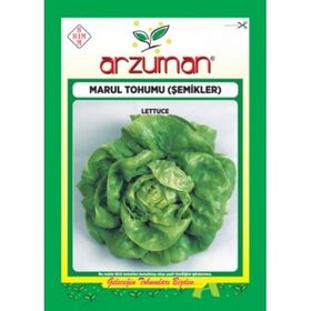 Arzuman 10 gr Şemikler Marul Tohumu