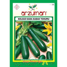 Arzuman 10 gr Siyah Kabak Tohumu