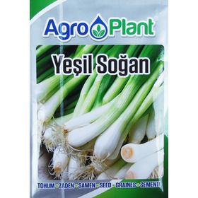 Arzuman 10 gr Taze Yeşil Soğan Tohumu