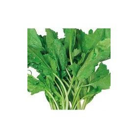 Arzuman 10 gr Tere Geniş Yaprak