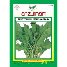 Arzuman 10 gr Tere Geniş Yaprak